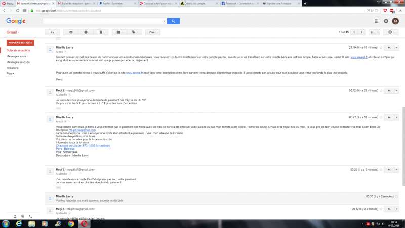 Compte Gmail Bloqué Trop De Tentatives mireille.levry3@gmail.com | Mireille Levry | Arnaque site annonce | 2